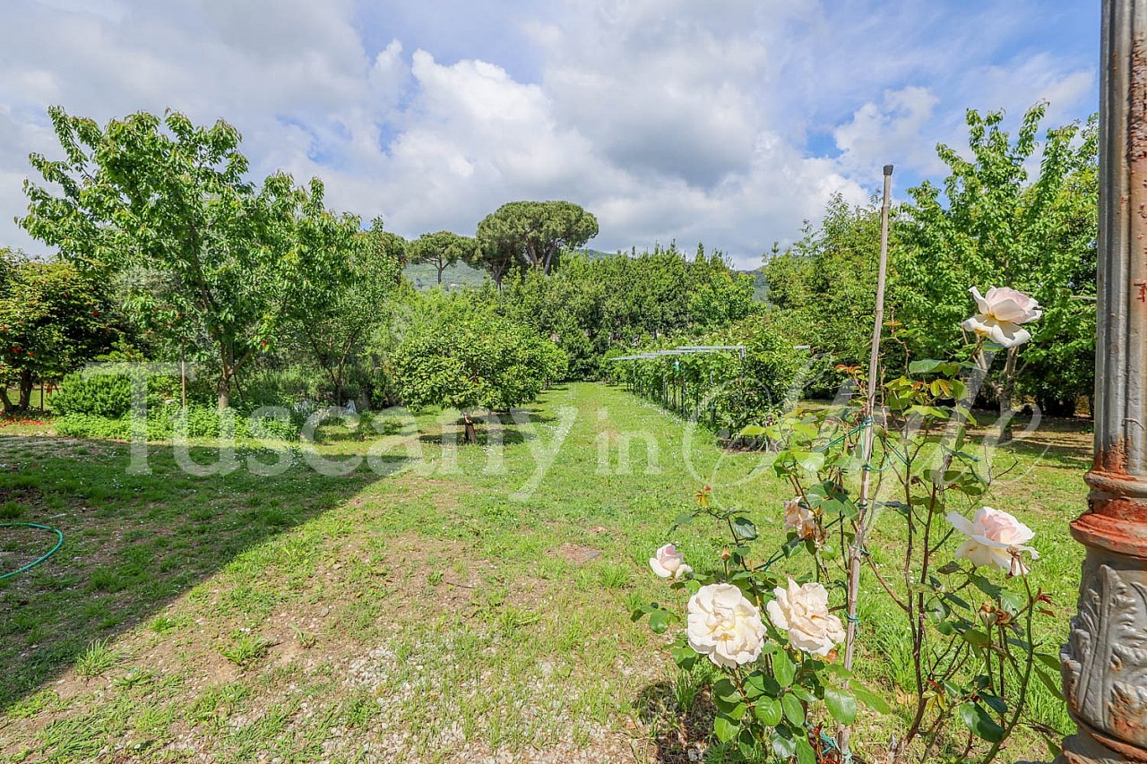 Apartment Pietrasanta-Margherita Penthouse-16