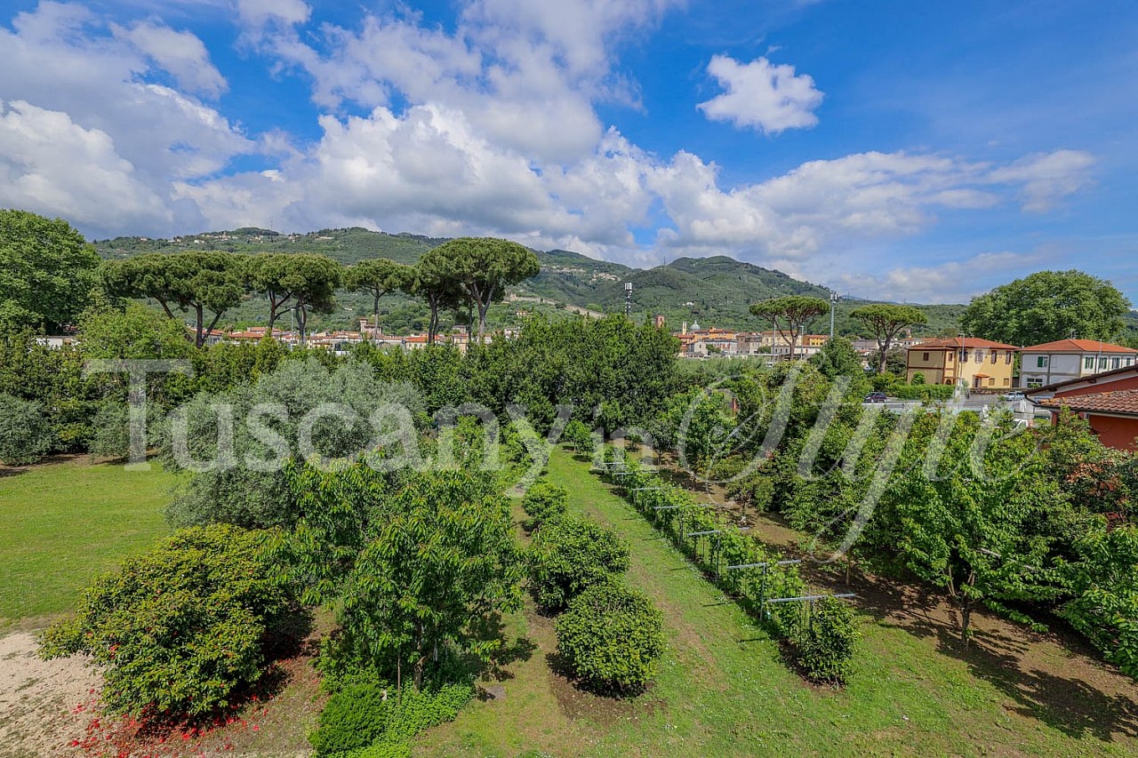Apartment Pietrasanta-Margherita Penthouse-17