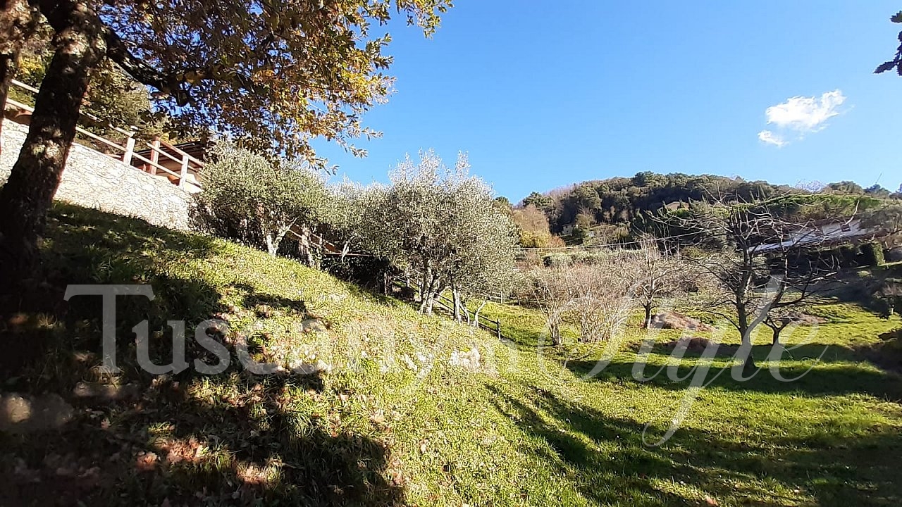 Villa -Sea view villa in the foothills of Pietrasanta-2